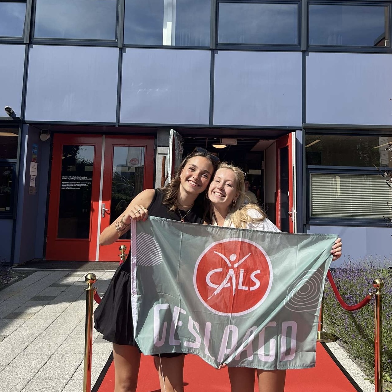 net geslaagd voor havo